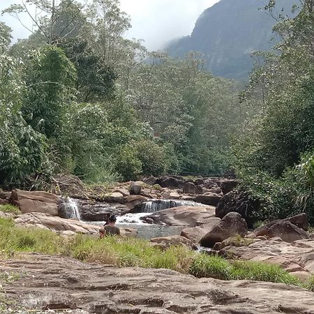 Dilani Adamspeak Riverstay 纳拉坦尼亚 外观 照片