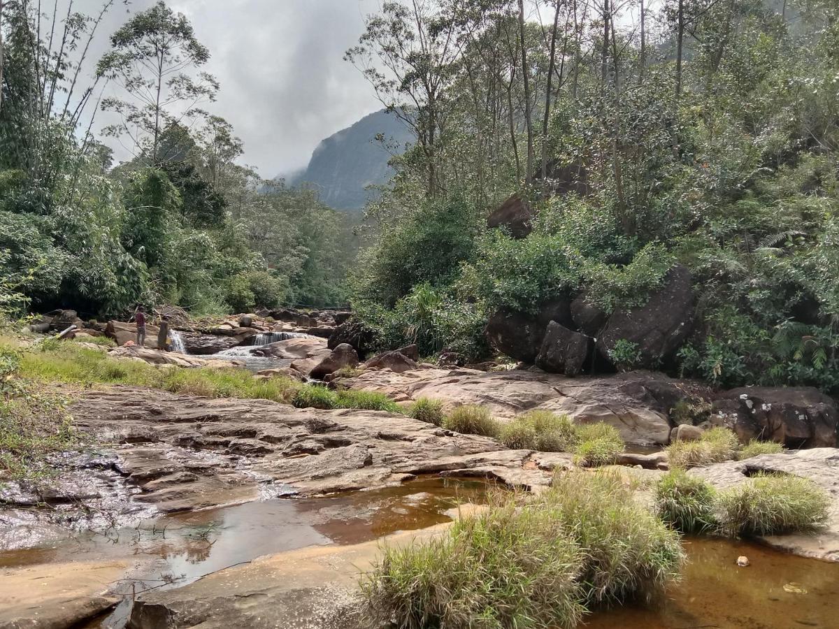 Dilani Adamspeak Riverstay 纳拉坦尼亚 外观 照片