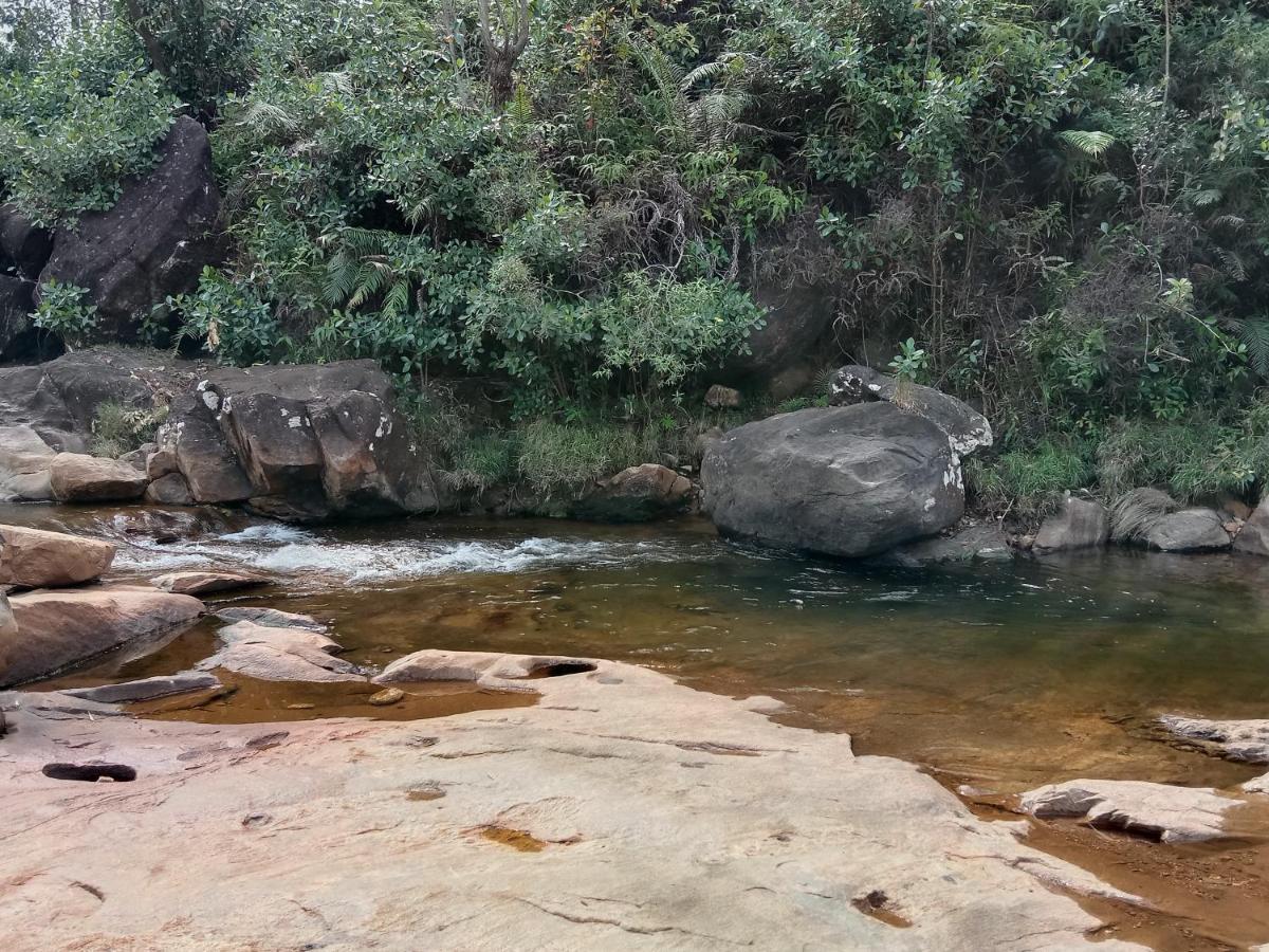 Dilani Adamspeak Riverstay 纳拉坦尼亚 外观 照片