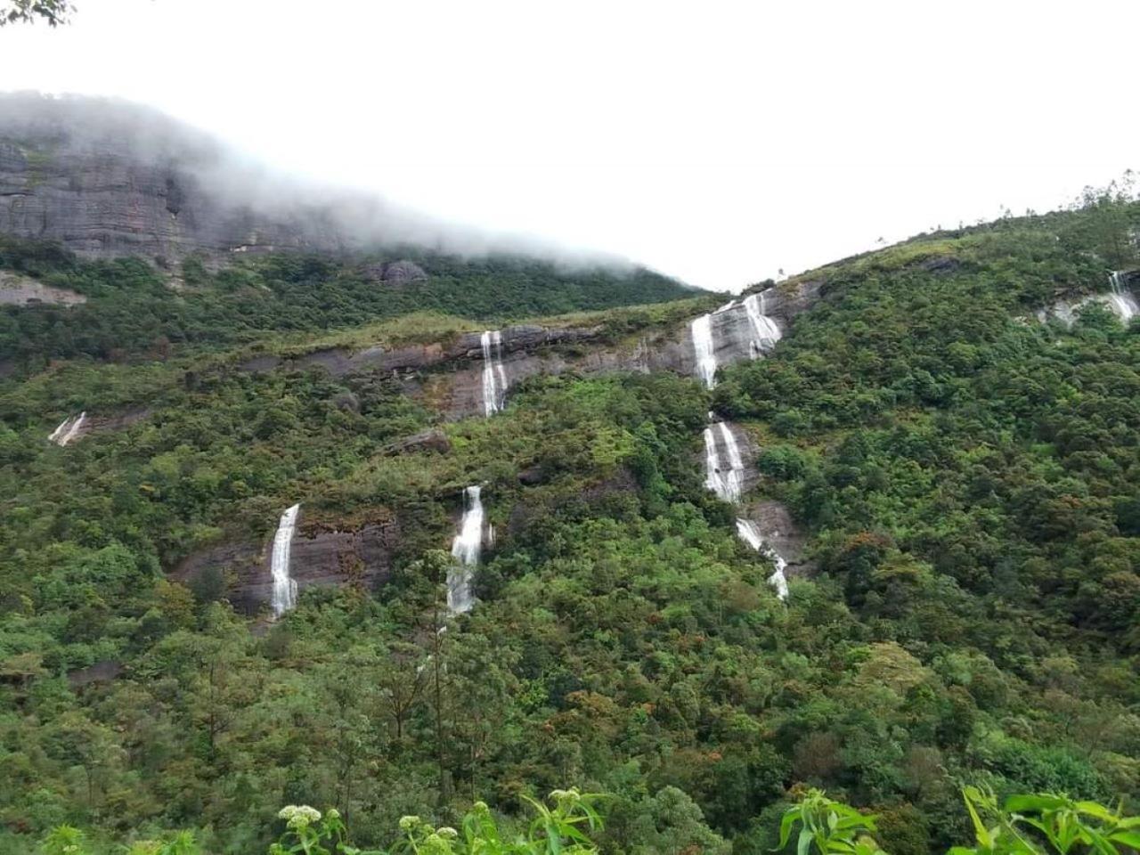 Dilani Adamspeak Riverstay 纳拉坦尼亚 外观 照片