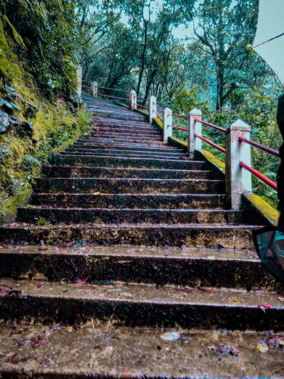 Dilani Adamspeak Riverstay 纳拉坦尼亚 外观 照片