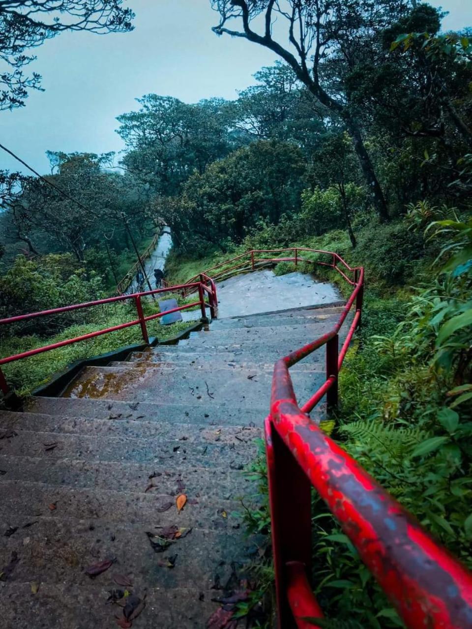 Dilani Adamspeak Riverstay 纳拉坦尼亚 外观 照片