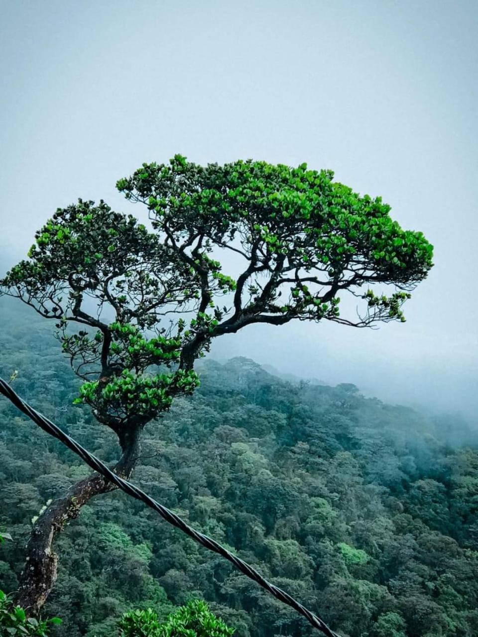 Dilani Adamspeak Riverstay 纳拉坦尼亚 外观 照片